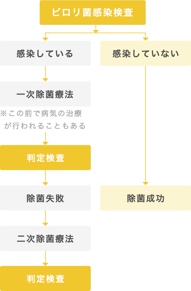 ピロリ菌除菌療法の流れ